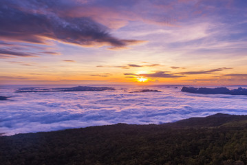 Fototapeta na wymiar Sunrise and Sea of fog at pah nok ann at Phu Kradueng National Park , Loei Thailand