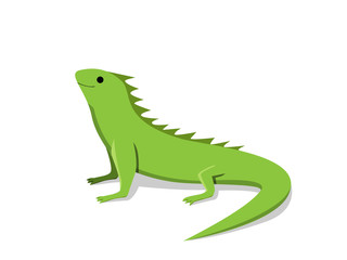 Friendly green iguana in flat style, vector