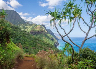 Fototapeta na wymiar Kalalau Trail in Nāpali Coast State Wilderness, Kauai, Hawaii