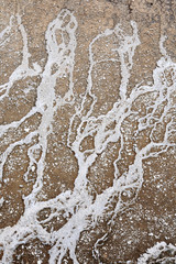 The surface of the rocks in the hot spring of Yellowstone National Park