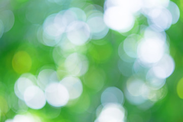 Obraz premium 木洩れ日 背景素材 