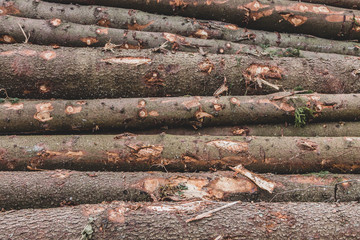 Stack of wood