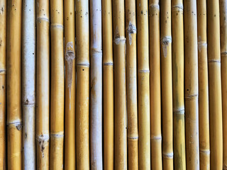 Yellow bamboo sticks pattern for background