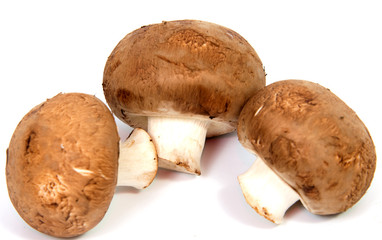 Set Champignon mushroom isolated on white background.