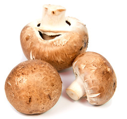 Set Champignon mushroom isolated on white background.
