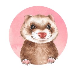 Cute ferret. Watercolor illustration