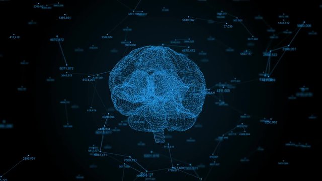 The human brain. Plexus with numbers. Beautiful background. The concept of science, medicine and business. Loop animation