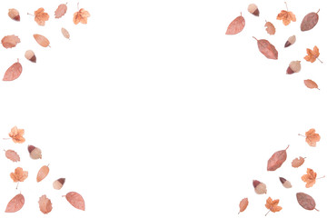 Autumn background isolated