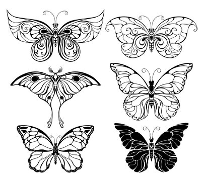 Set of art butterflies