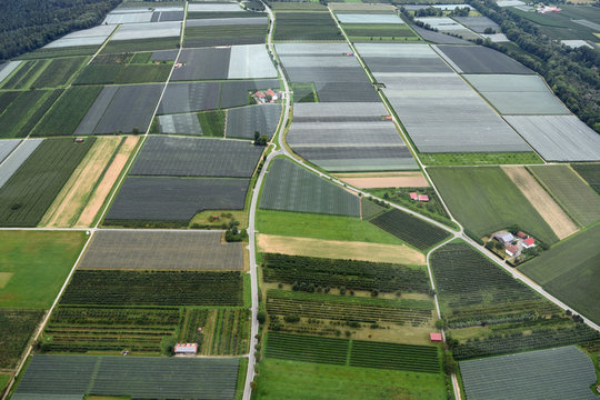 Luftaufnahme von Feldern und Apfelbaumplantagen in Süddeutschland