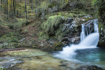 The water of a stream that flows into the woods