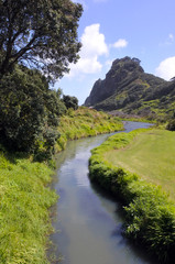 Fototapeta na wymiar Landscape view of KareKare stream New Zealand
