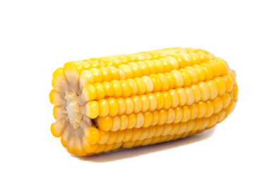 Isolated corn. One ear of sweet corn with leaves isolated on white background with clipping path