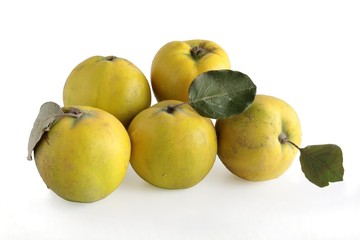 yellow,ripe quince fruits