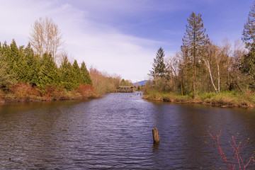 Landscape with mountains and lake