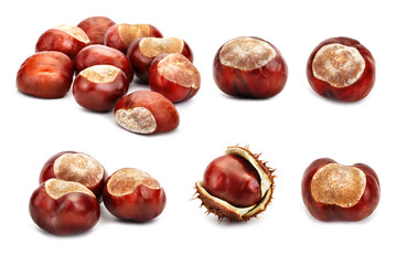 Set of chestnuts on a white background. An isolated object.