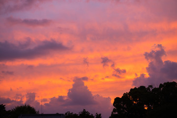 夕方の岡山後楽園