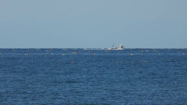 沖合の漁船