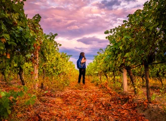 Fotobehang Young girl with a backpack in Bulgarian vineyards on a Sunset ready to travel  © Evgeni