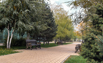 The path in the park which is laid out by a stone tile, benches from cast iron; lamps.
