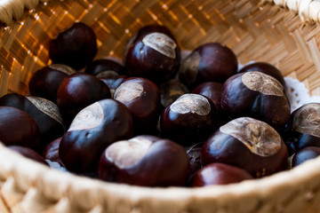 Horse Chestnuts in wooden basket
