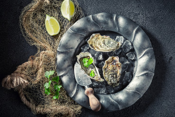Fresh and delicious oysters with lemons and coriander © shaiith
