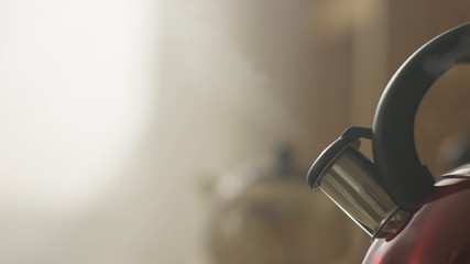 kettle boiling on a gas stove in the kitchen. Focus on a spout. Tea kettle with boiling water on...