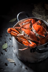 Ingredients for homemade crab with allspice and bay leaf © shaiith