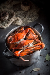 Image of Ingredients for fresh crab in a old metal pot printed on Printed Glass Basin Splashbacks