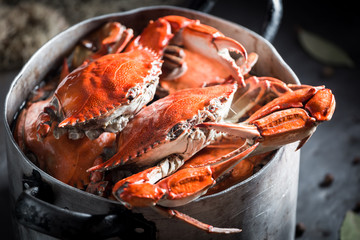 Preparation for homemade crab with allspice and bay leaf - obrazy, fototapety, plakaty