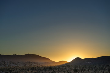 Sunrise over Joshua Tree National Park
