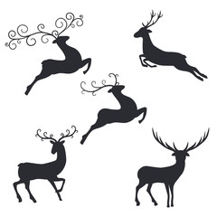 Silhouette deer on white background