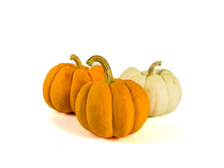 Three pumpkins isolated on white background
