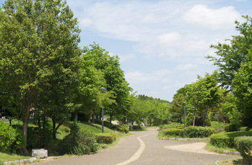 Plakat 住宅街　大規模分譲地の提供公園と歩道