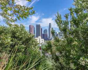 City Behind the Trees