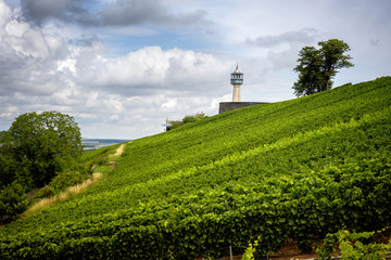 Fototapeta na wymiar Champagne. Vineyard and lighthouse (Phare) in the Champagne Region near Vernezay. France