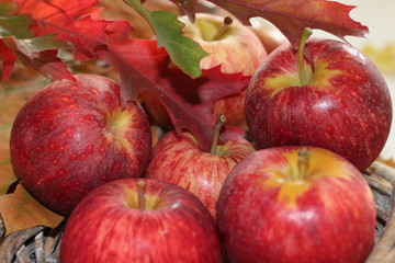 apple, fruit, food, fresh fruit, fresh food, heakthy food, autumn, autumnal, lovely autumn, vegetarian food, autumn time, lovely autumn,red apple, juicy apple,juicy fruit,apples