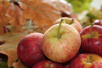 apple, fruit, food, fresh fruit, fresh food, heakthy food, autumn, autumnal, lovely autumn, vegetarian food, autumn time, lovely autumn,red apple, juicy apple,juicy fruit,apples