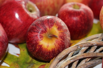 apple, fruit, food, fresh fruit, fresh food, heakthy food, autumn, autumnal, lovely autumn, vegetarian food, autumn time, lovely autumn,red apple, juicy apple,juicy fruit,apples