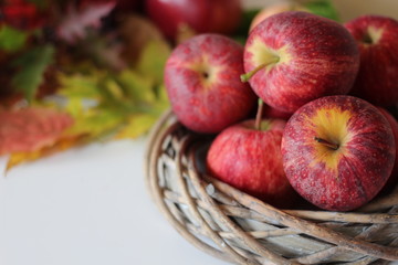 apple, fruit, food, fresh fruit, fresh food, heakthy food, autumn, autumnal, lovely autumn, vegetarian food, autumn time, lovely autumn,red apple, juicy apple,juicy fruit,apples