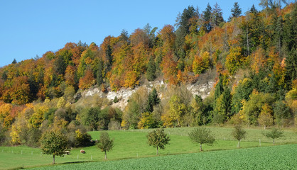 Herbstlandschaft