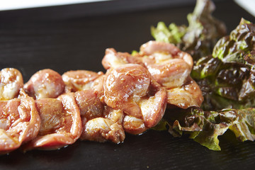 Gizzard