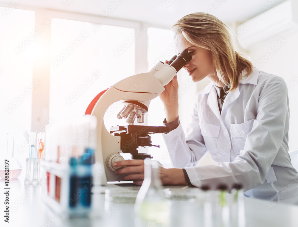 Wall mural laboratory scientist working