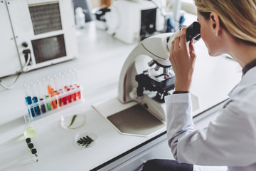 Laboratory scientist working