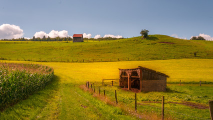 Waldweg mit Scheune am Feld