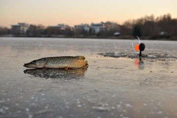 tackle winter fishing, pike, sunset, pike catching