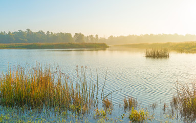 Shore of a misty lake at sunrise in autumn