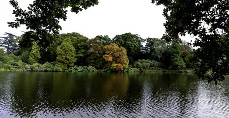 English autumn / West Sussex, United Kingdom