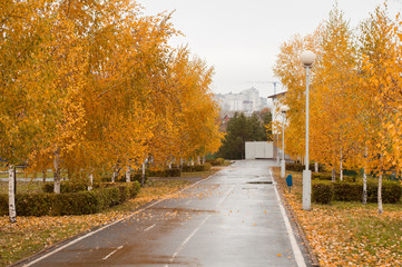 Obraz premium fall city Park, fall leaf,