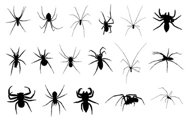 Set of different spiders isolated on white